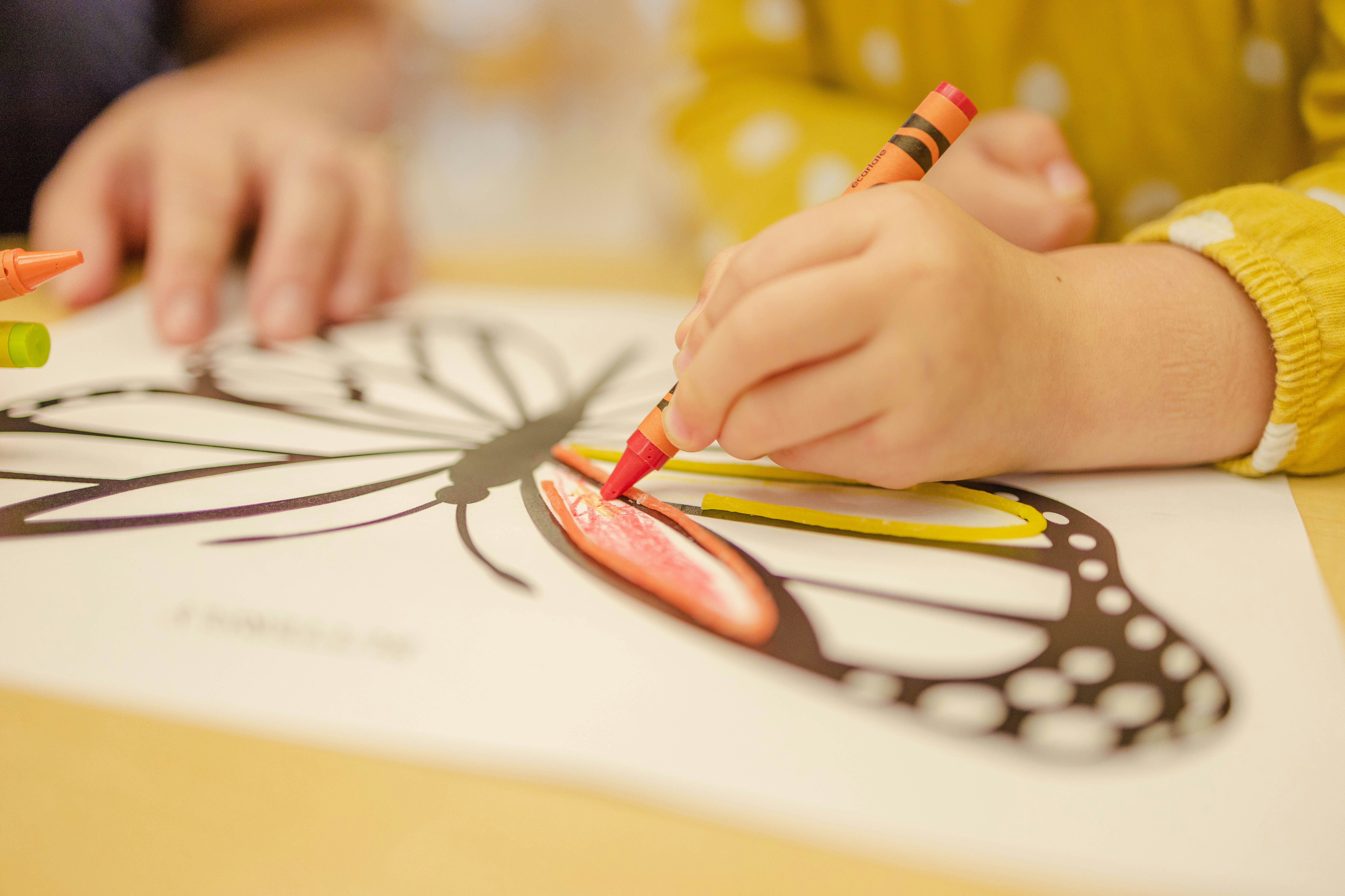 Drawing and Coloring